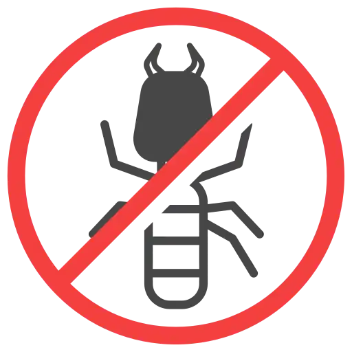 Termite